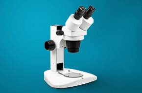 You get a program designed specifically for you!